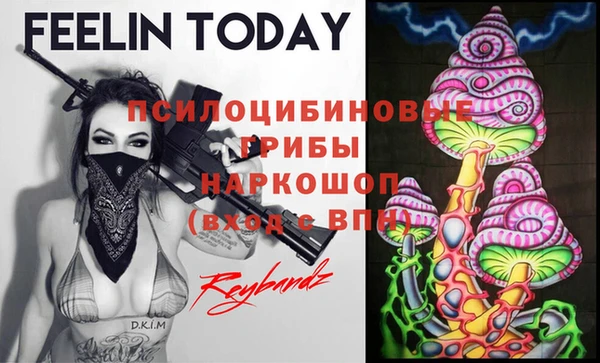 первитин Алексеевка