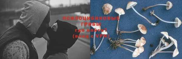 МДПВ Алексин
