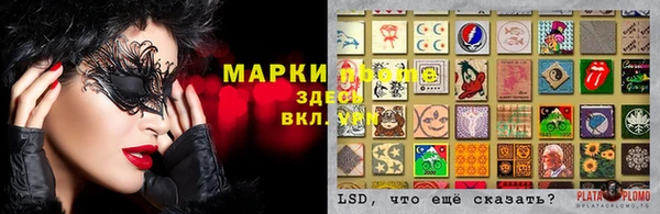 ECSTASY Алзамай