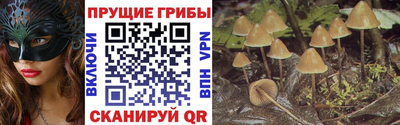 Галлюциногенные грибы мицелий Аркадак