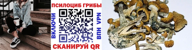 Галлюциногенные грибы прущие грибы Аркадак